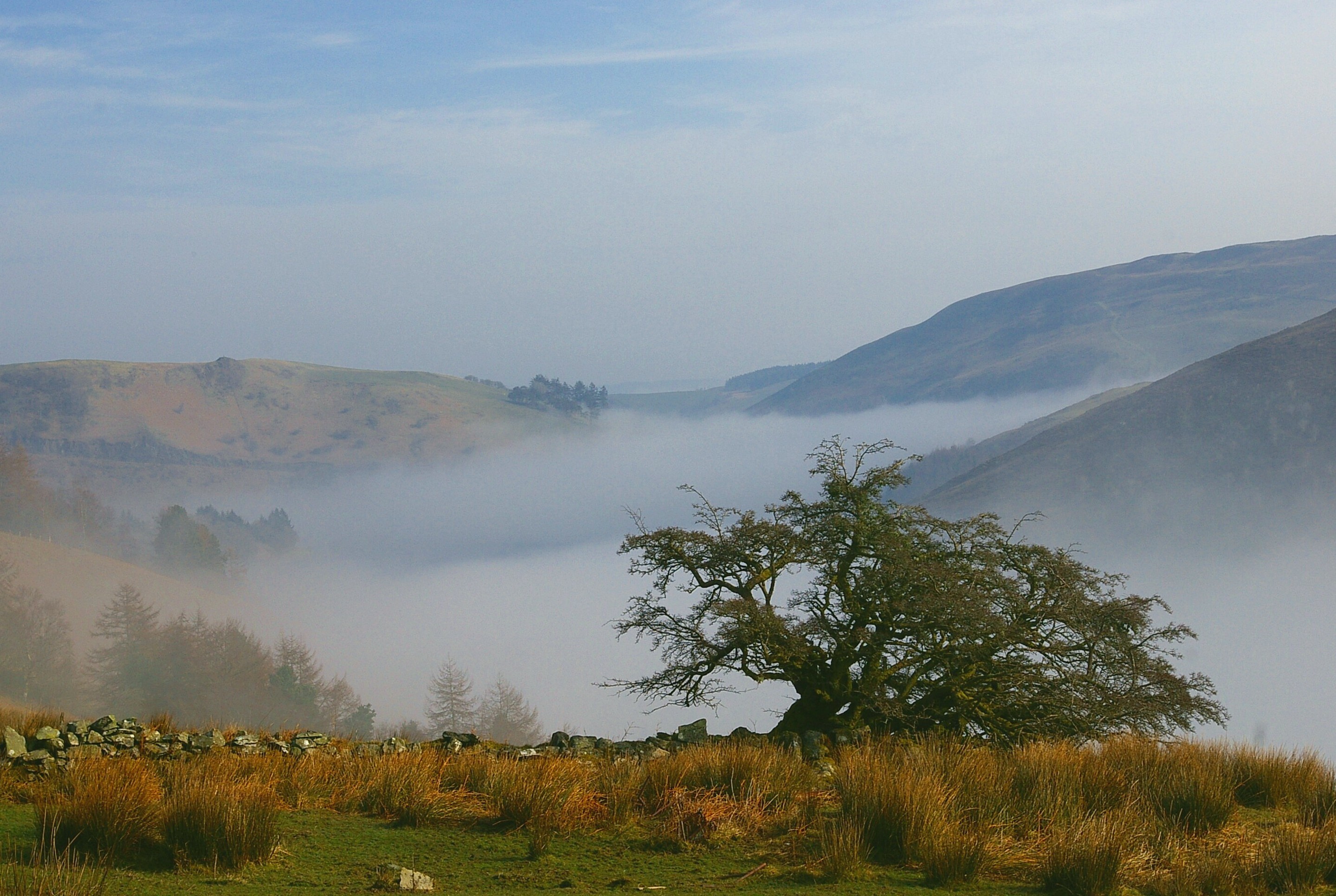 MISTY CLYWEDOG. Bill Bagley Photography